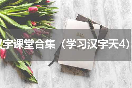 汉字课堂合集（学习汉字天4）