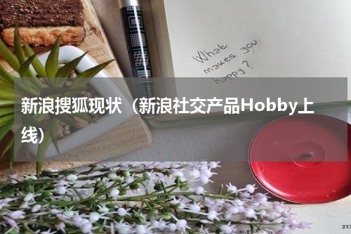 新浪搜狐现状（新浪社交产品Hobby上线）