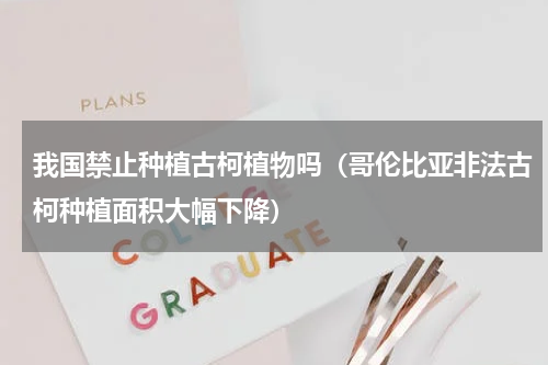 我国禁止种植古柯植物吗（哥伦比亚非法古柯种植面积大幅下降）
