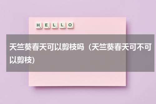 天竺葵春天可以剪枝吗（天竺葵春天可不可以剪枝）