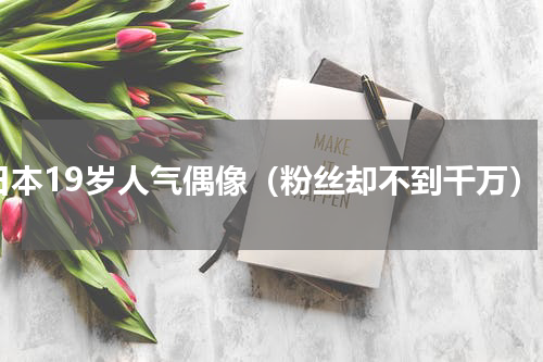 日本19岁人气偶像（粉丝却不到千万）