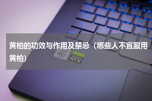 黄柏的功效与作用及禁忌（哪些人不宜服用黄柏）