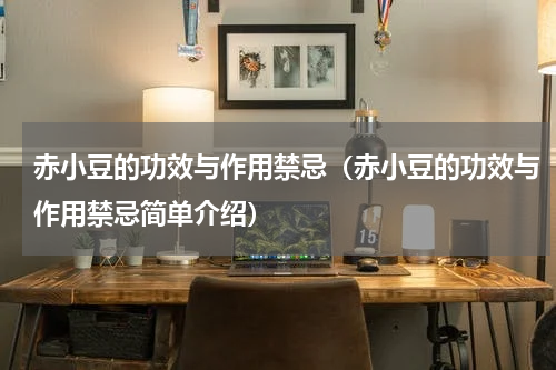 赤小豆的功效与作用禁忌（赤小豆的功效与作用禁忌简单介绍）