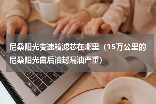 尼桑阳光变速箱滤芯在哪里（15万公里的尼桑阳光曲后油封漏油严重）