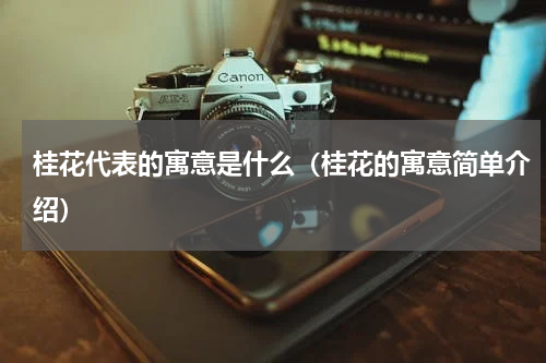 桂花代表的寓意是什么（桂花的寓意简单介绍）
