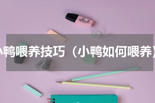 小鸭喂养技巧（小鸭如何喂养）