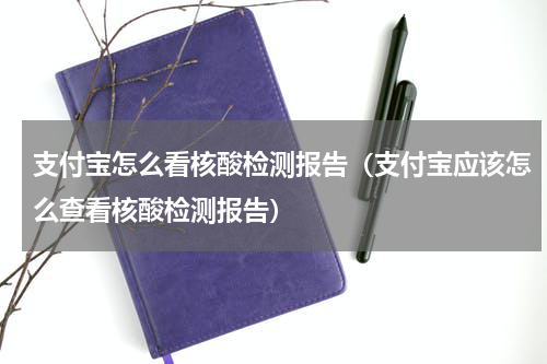 支付宝怎么看核酸检测报告（支付宝应该怎么查看核酸检测报告）