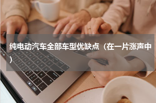 纯电动汽车全部车型优缺点（在一片涨声中）