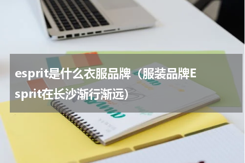 esprit是什么衣服品牌（服装品牌Esprit在长沙渐行渐远）