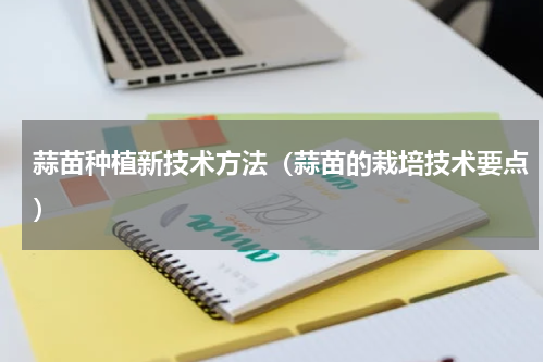蒜苗种植新技术方法（蒜苗的栽培技术要点）