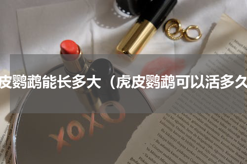 虎皮鹦鹉能长多大（虎皮鹦鹉可以活多久）