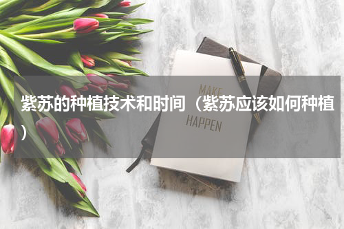 紫苏的种植技术和时间（紫苏应该如何种植）
