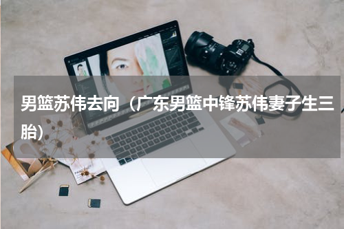 男篮苏伟去向（广东男篮中锋苏伟妻子生三胎）