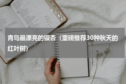 青岛最漂亮的银杏（重磅推荐30种秋天的红叶树）