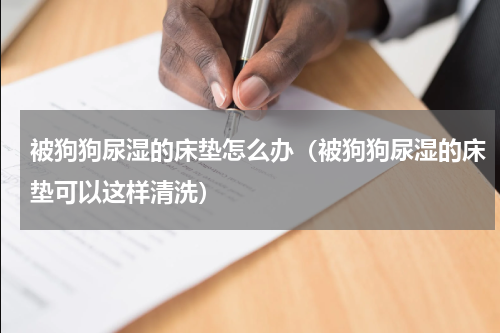被狗狗尿湿的床垫怎么办（被狗狗尿湿的床垫可以这样清洗）