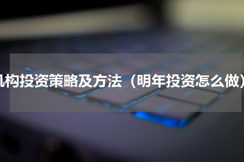 机构投资策略及方法（明年投资怎么做）