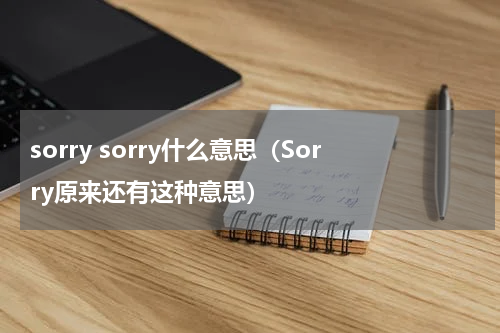 sorry sorry什么意思（Sorry原来还有这种意思）