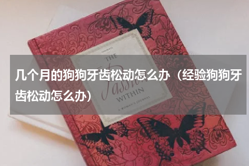 几个月的狗狗牙齿松动怎么办（经验狗狗牙齿松动怎么办）