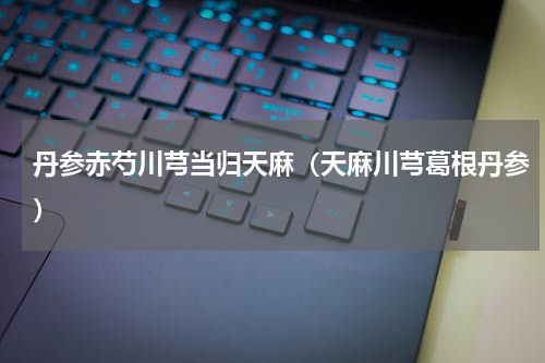 丹参赤芍川芎当归天麻（天麻川芎葛根丹参）