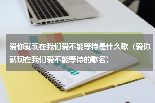 爱你就现在我们爱不能等待是什么歌（爱你就现在我们爱不能等待的歌名）