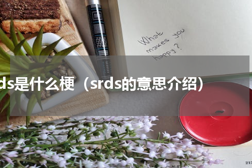 srds是什么梗（srds的意思介绍）