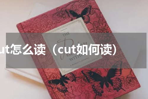 cut怎么读（cut如何读）