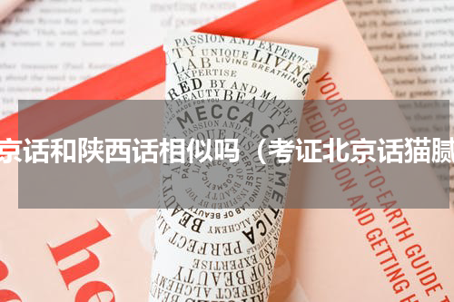 南京话和陕西话相似吗（考证北京话猫腻）