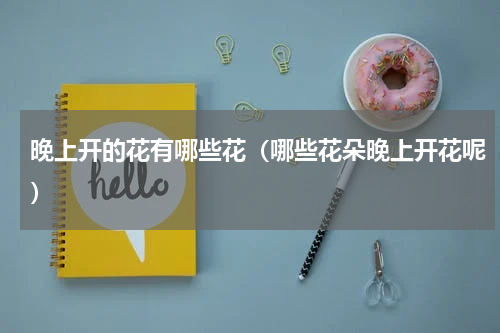 晚上开的花有哪些花（哪些花朵晚上开花呢）