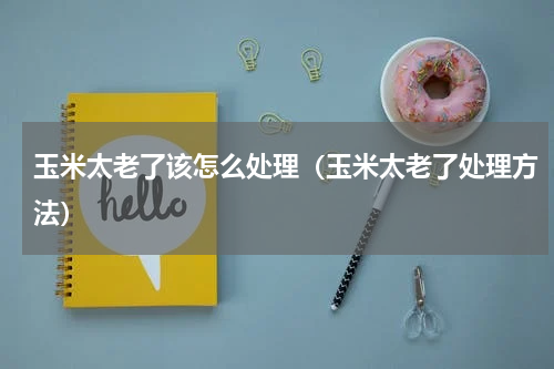玉米太老了该怎么处理（玉米太老了处理方法）