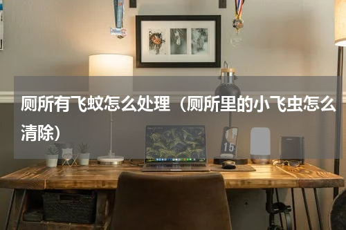 厕所有飞蚊怎么处理（厕所里的小飞虫怎么清除）