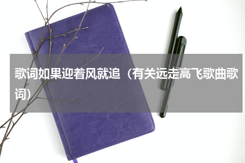歌词如果迎着风就追（有关远走高飞歌曲歌词）