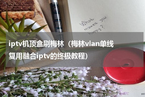 iptv机顶盒刷梅林（梅林vlan单线复用融合iptv的终极教程）