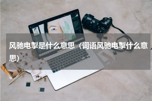 风驰电掣是什么意思（词语风驰电掣什么意思）