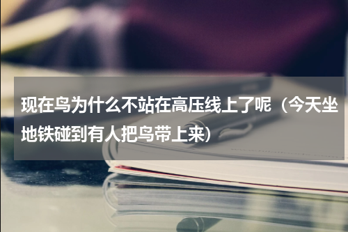 现在鸟为什么不站在高压线上了呢（今天坐地铁碰到有人把鸟带上来）