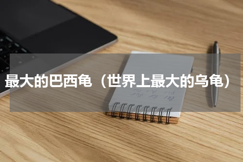 最大的巴西龟（世界上最大的乌龟）