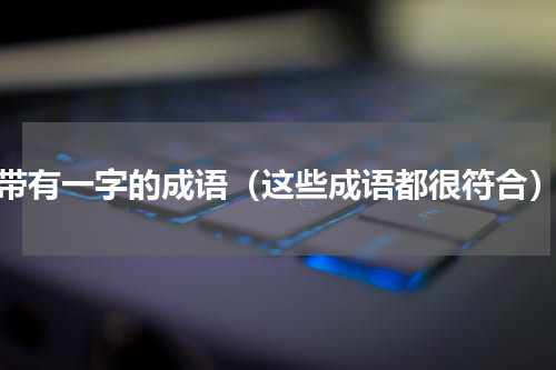 带有一字的成语（这些成语都很符合）