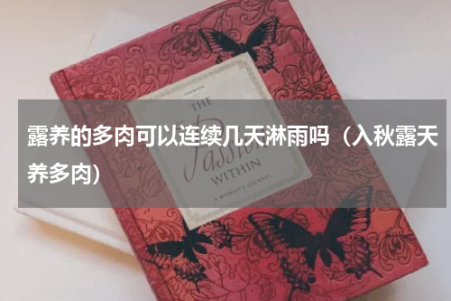 露养的多肉可以连续几天淋雨吗（入秋露天养多肉）