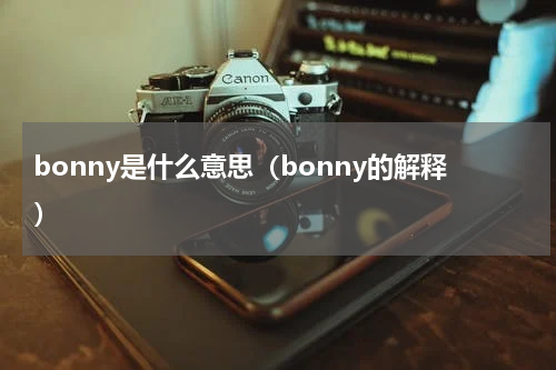 bonny是什么意思（bonny的解释）