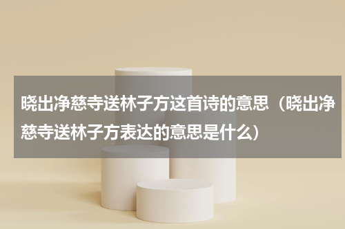 晓出净慈寺送林子方这首诗的意思（晓出净慈寺送林子方表达的意思是什么）