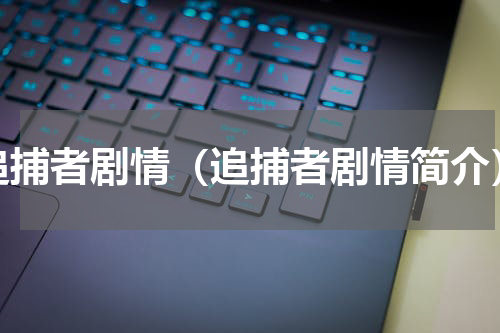 追捕者剧情（追捕者剧情简介）