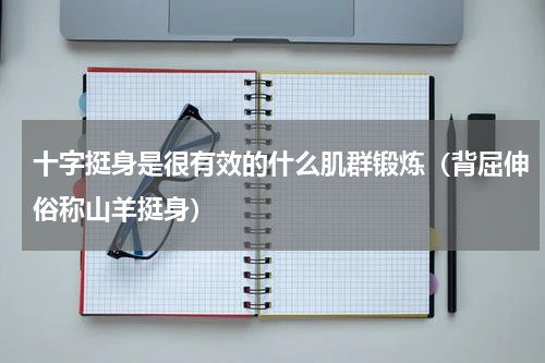 十字挺身是很有效的什么肌群锻炼（背屈伸俗称山羊挺身）