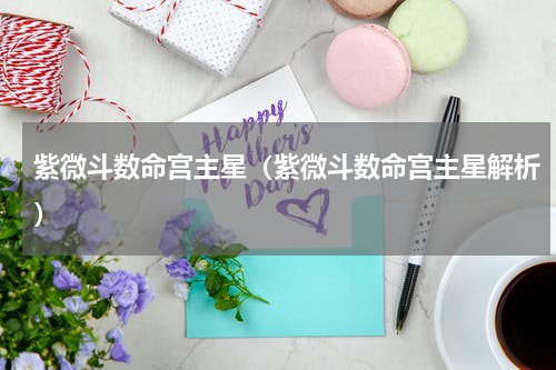 紫微斗数命宫主星（紫微斗数命宫主星解析）