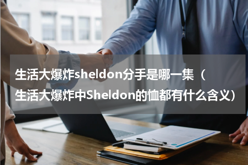 生活大爆炸sheldon分手是哪一集（生活大爆炸中Sheldon的恤都有什么含义）