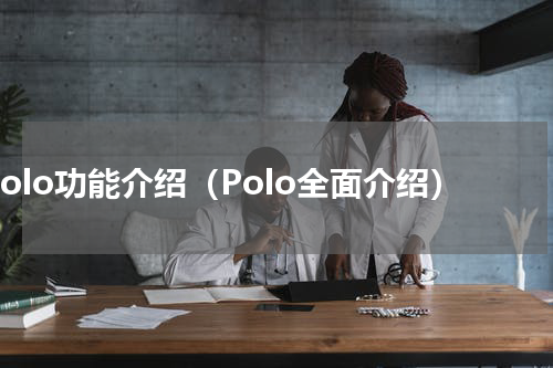 polo功能介绍（Polo全面介绍）