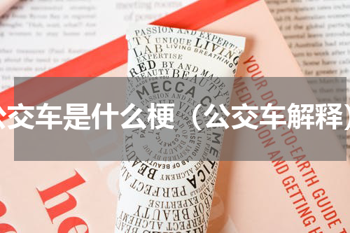 公交车是什么梗（公交车解释）