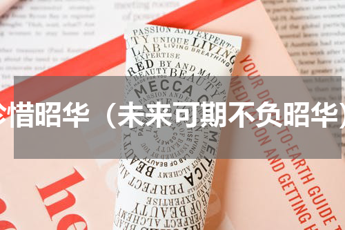 珍惜昭华（未来可期不负昭华）