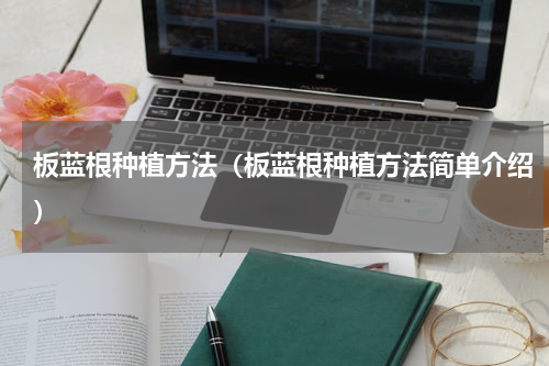板蓝根种植方法（板蓝根种植方法简单介绍）