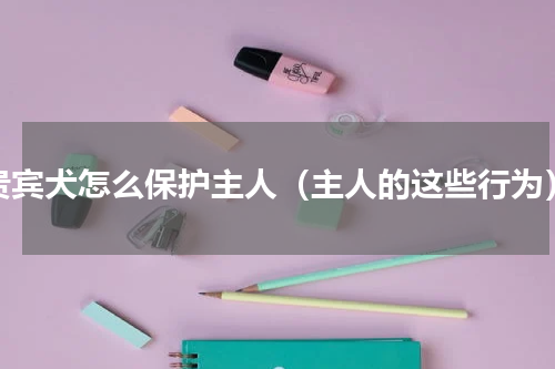 贵宾犬怎么保护主人（主人的这些行为）