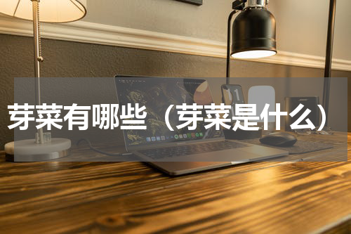 芽菜有哪些（芽菜是什么）