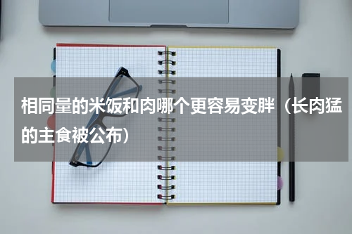 相同量的米饭和肉哪个更容易变胖（长肉猛的主食被公布）